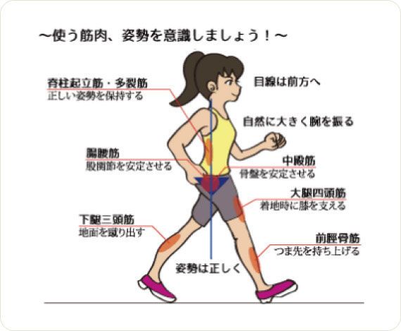 333333sssenior-fitness2_06 333333sssenior-fitness2_06